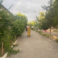 кунлик ишчи - Zebo