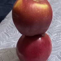 кунлик ишчи - Hasan