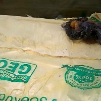 генеральная уборка квартир 